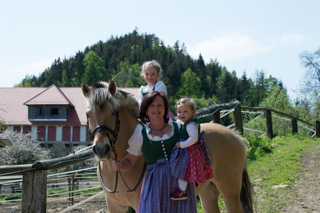 Pension Seebichlhof Hotel Kraig Luaran gambar